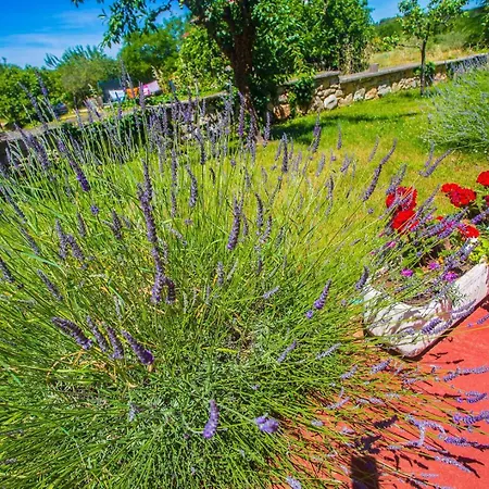 Garbina Guest house 3*