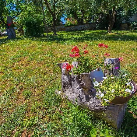 Guest house Garbina