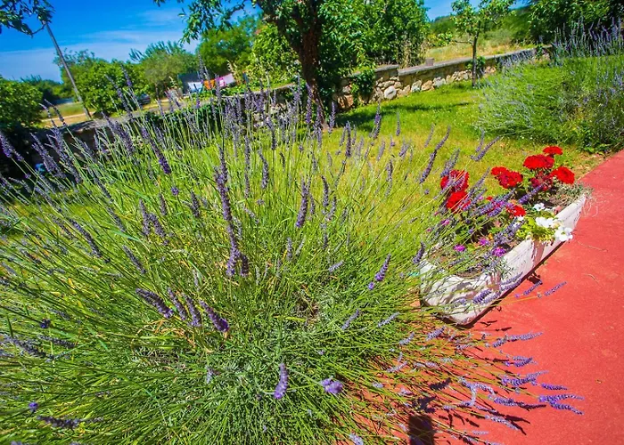 Garbina Gæstehus 3*